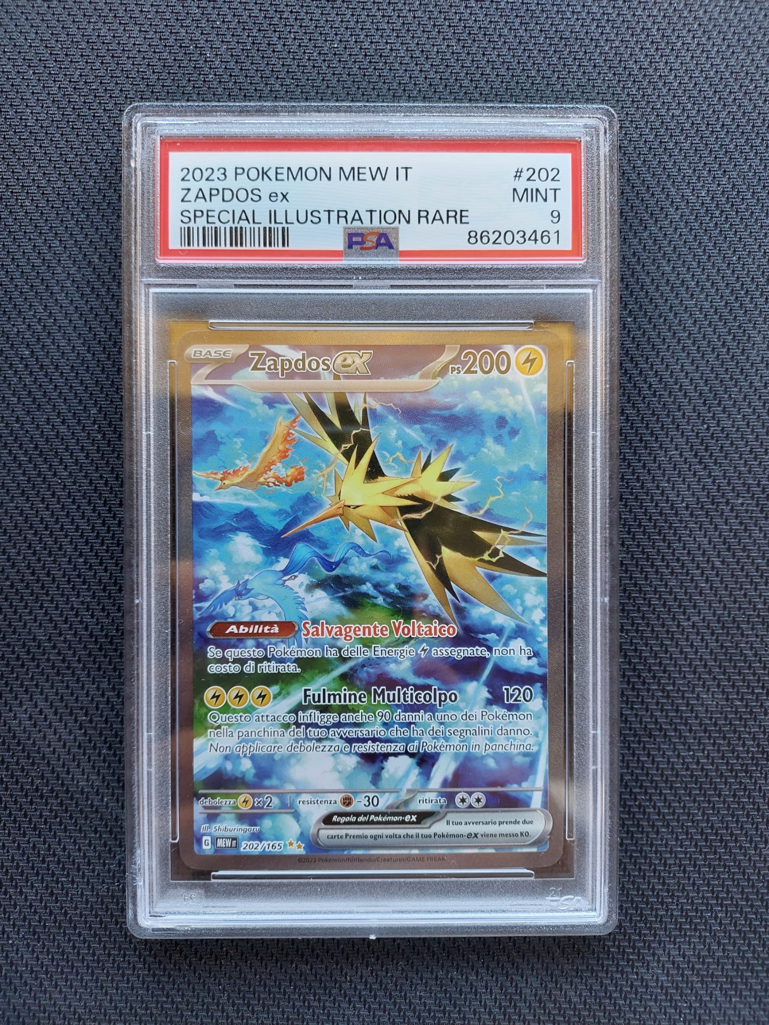 Zapdos EX 202/165 Alternative Art - Pokèmon 151 - PSA 9