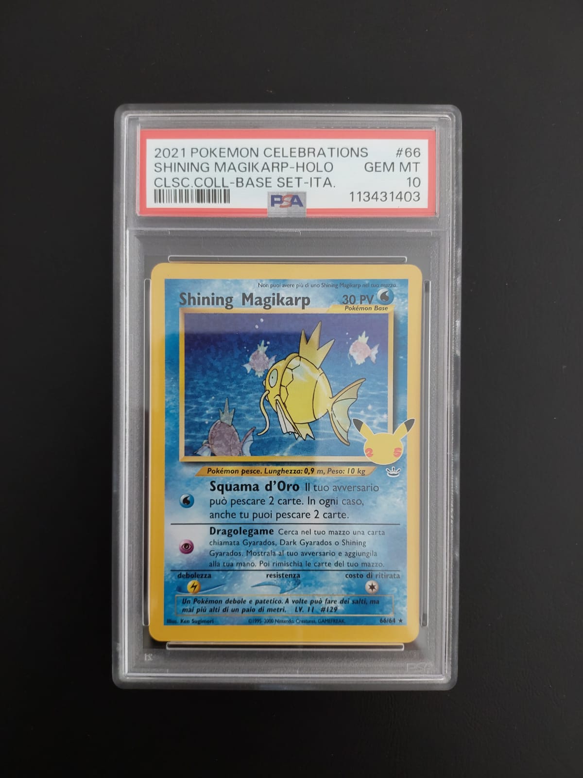 Shining Magikarp 66/64 Gran Festa PSA 10